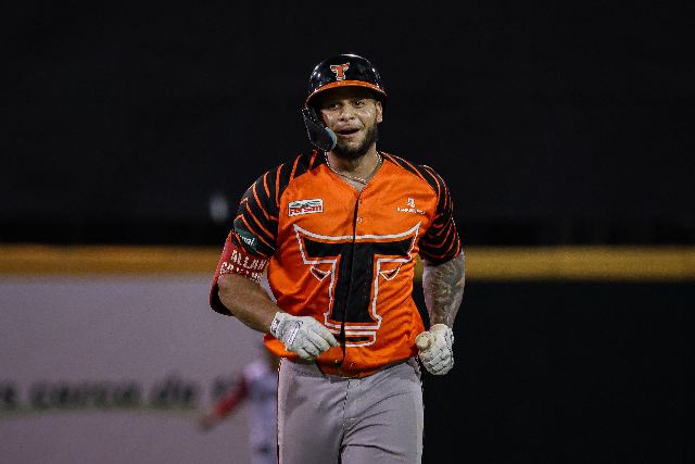 Toros Vs Gigantes